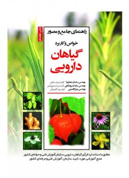 خواص-و-کاربرد-گیاهان-دارویی