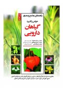خواص-و-کاربرد-گیاهان-دارویی