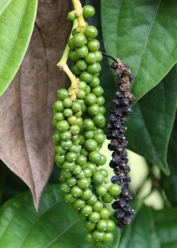 photo_2019-05-15_02-57-46