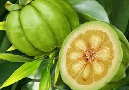 native_garcinia_cambogia_extract_review-300x210
