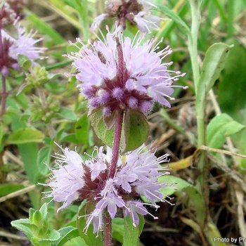 141f7165_22ff_4cf0_b710_f6b323f49bf9