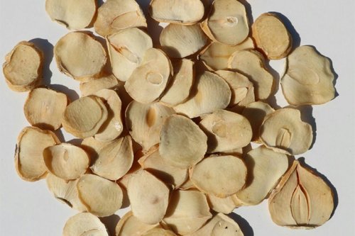 IMG_20180202_145920_199-1030x1030