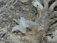 b4c47f9c-cfea-45a6-9aa6-737cc3a8454e