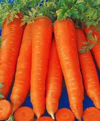 10531471599786071536