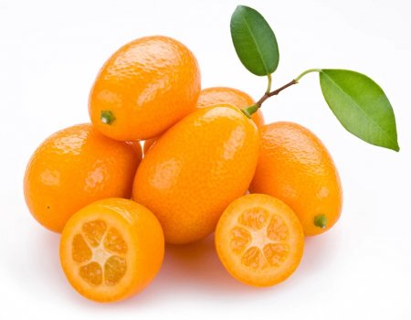 shutterstock_92547181kumquat1_x850