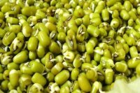 سبزه-ی-ماش-min-1