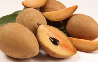 4b3c3332a4f739dbc5d41fb9d0bea387