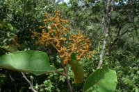 7ad9932b734537475fca4feeb610f8e4