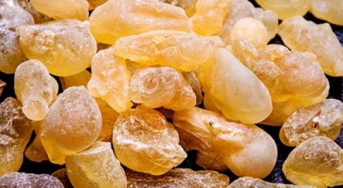 khavase-kondor-600x330