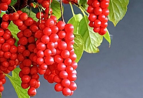 e3e042609490a6c61608a9ee