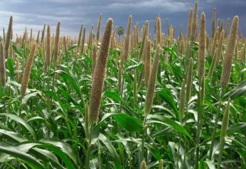 Tamil_News_large_186390820170927064247