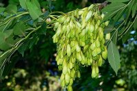 9a20e13ebbae40939140084368128431