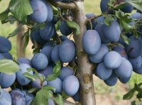 I800X500_591986115450