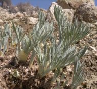 be98c757-54a2-4915-9af0-0b9e46dfb37d